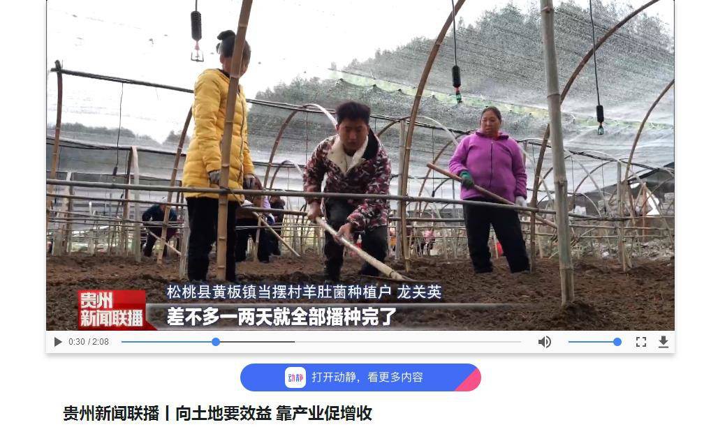 【成績單來了！】松桃2024年1月份對外宣傳成績單