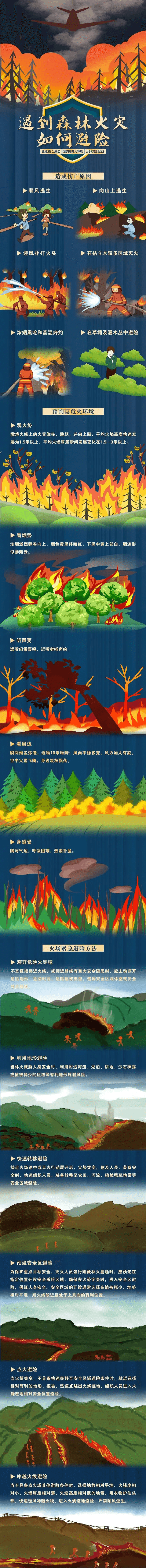 關(guān)于森林防火，這些知識需掌握→