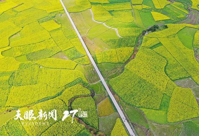 上春山 賞百花｜莫負黔地好光景 春游貴州正當(dāng)時