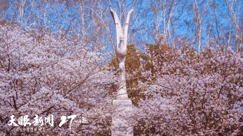 來(lái)貴州 上春山｜貴州櫻花邀約武大櫻花 一起“唱”游花漾中國(guó)