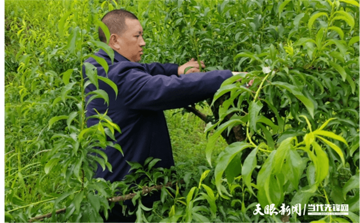 2024全國(guó)兩會(huì)特別報(bào)道｜共赴春天的盛會(huì)！貴州省全國(guó)人大代表、住黔全國(guó)政協(xié)委員赴京參加全國(guó)兩會(huì)側(cè)記
