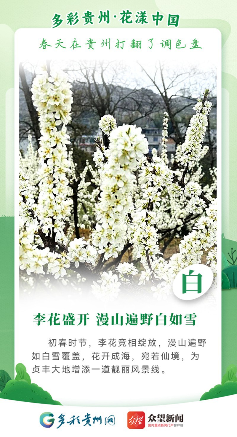【多彩貴州·花漾中國】春天在貴州打翻了調(diào)色盤
