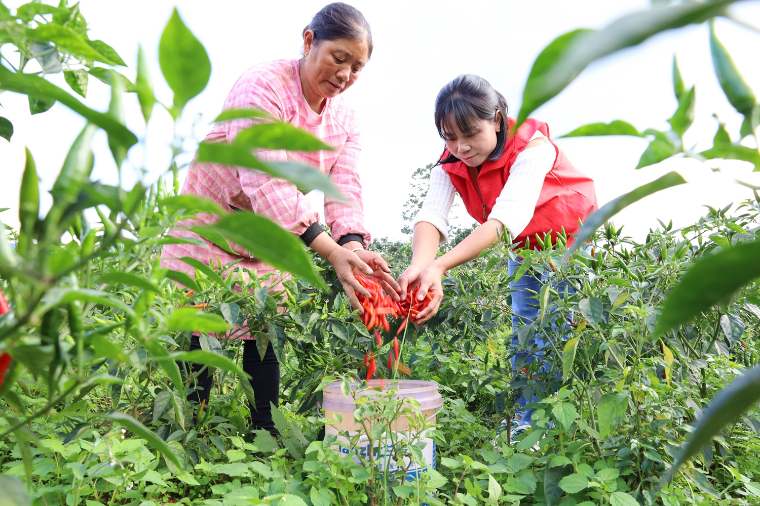 《貴州日報(bào)》刊登乾興平署名文章：振奮精神 不負(fù)春光 全力推進(jìn)貴州高質(zhì)量發(fā)展和現(xiàn)代化建設(shè)｜寫在2024年全國兩會召開之際