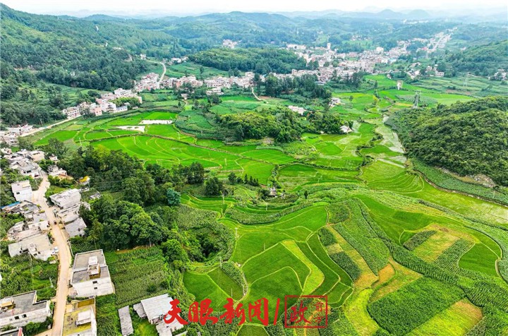 2024全國(guó)兩會(huì)特別報(bào)道｜共赴春天的盛會(huì)！貴州省全國(guó)人大代表、住黔全國(guó)政協(xié)委員赴京參加全國(guó)兩會(huì)側(cè)記
