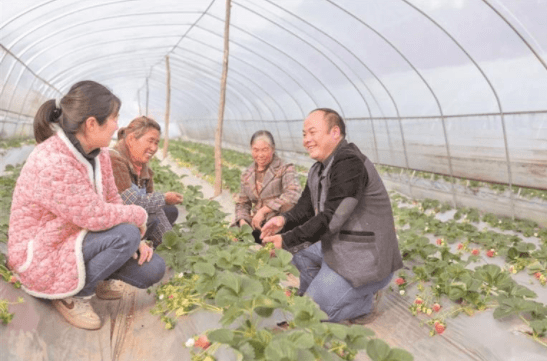 2024全國(guó)兩會(huì)特別報(bào)道｜共赴春天的盛會(huì)！貴州省全國(guó)人大代表、住黔全國(guó)政協(xié)委員赴京參加全國(guó)兩會(huì)側(cè)記