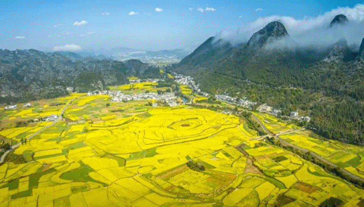 《貴州日報(bào)》刊登乾興平署名文章：振奮精神 不負(fù)春光 全力推進(jìn)貴州高質(zhì)量發(fā)展和現(xiàn)代化建設(shè)｜寫在2024年全國兩會召開之際