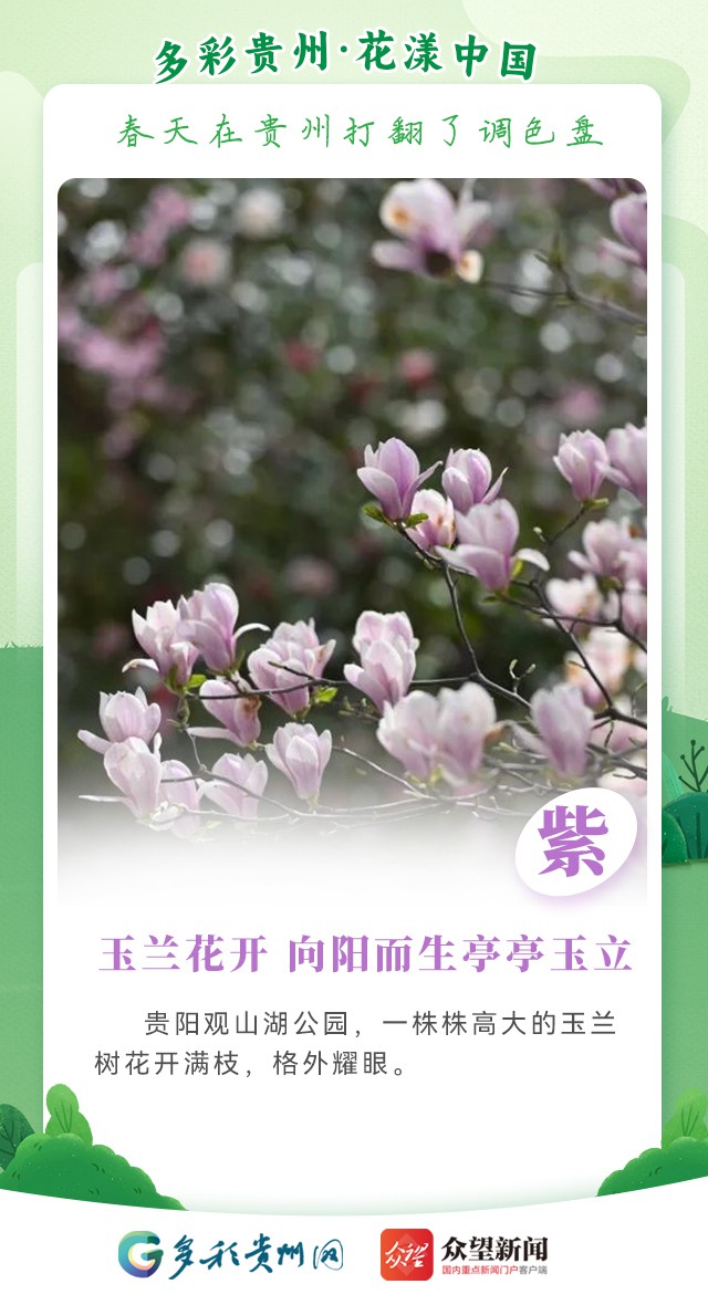 【多彩貴州·花漾中國】春天在貴州打翻了調(diào)色盤