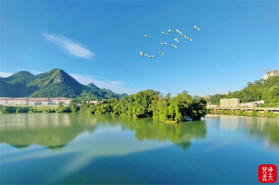 銅仁獲評(píng)優(yōu)秀!貴州2023年落實(shí)林長(zhǎng)制責(zé)任績(jī)效評(píng)價(jià)結(jié)果出爐