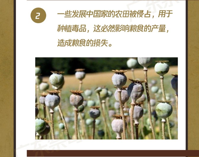 你可能不知道，它也是環(huán)境破壞者！保護(hù)地球，我們一起行動！