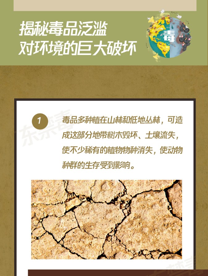 你可能不知道，它也是環(huán)境破壞者！保護(hù)地球，我們一起行動！