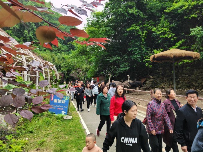 貴州“五一”花樣整活人氣旺 “反向游”成性價(jià)比新寵