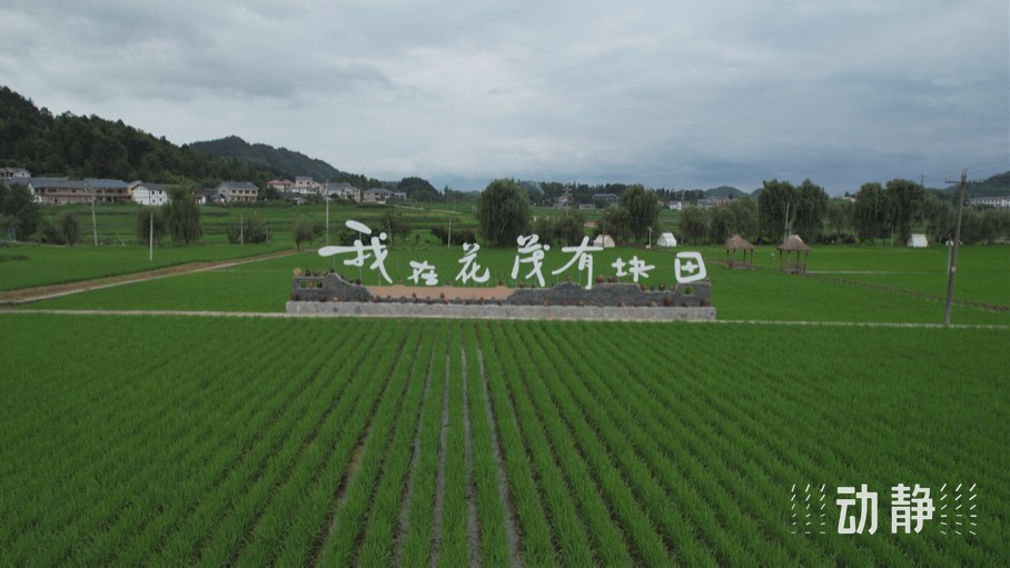 “關(guān)鍵一招”在基層丨走出貴州大山的寒門(mén)學(xué)子，立志回農(nóng)村闖出一片新天地