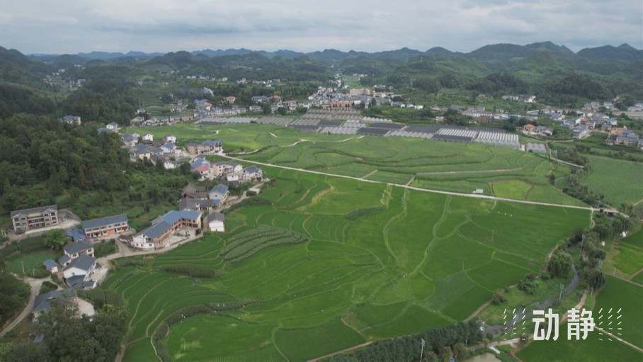 “關(guān)鍵一招”在基層丨走出貴州大山的寒門(mén)學(xué)子，立志回農(nóng)村闖出一片新天地