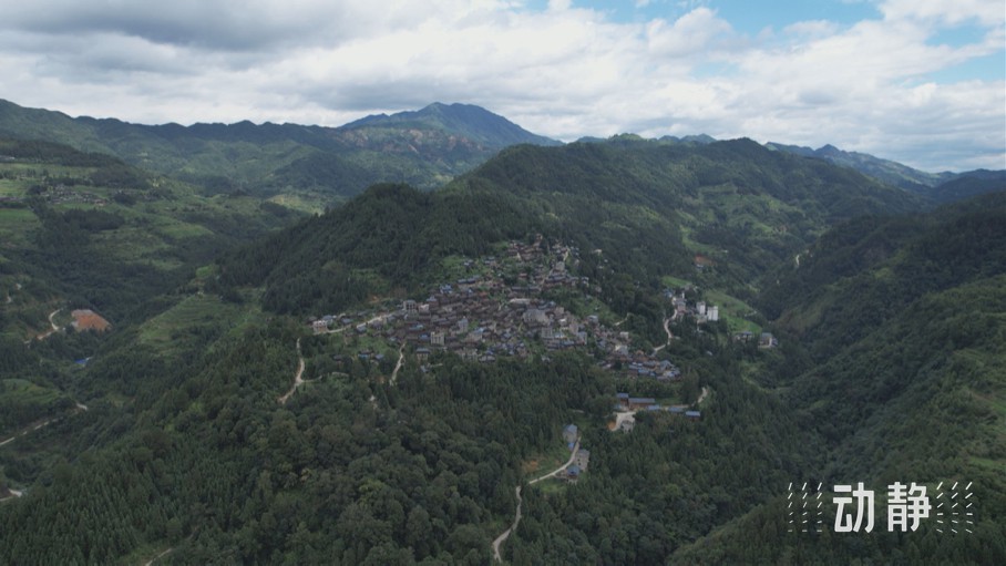 “關(guān)鍵一招”在基層丨走出貴州大山的寒門(mén)學(xué)子，立志回農(nóng)村闖出一片新天地