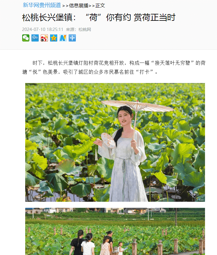 【成績單來了！】松桃2024年7月份對外宣傳成績單