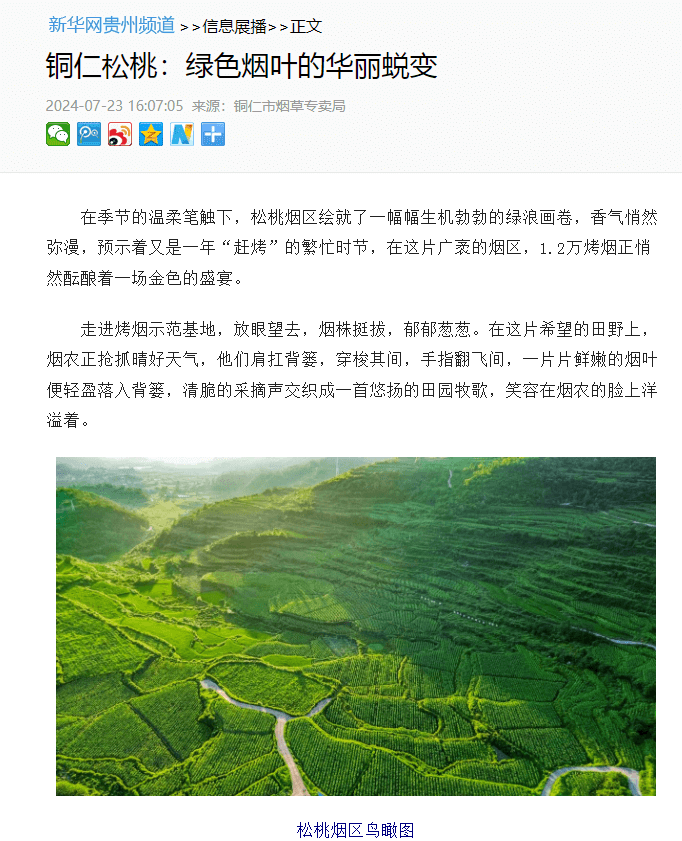 【成績單來了！】松桃2024年7月份對外宣傳成績單
