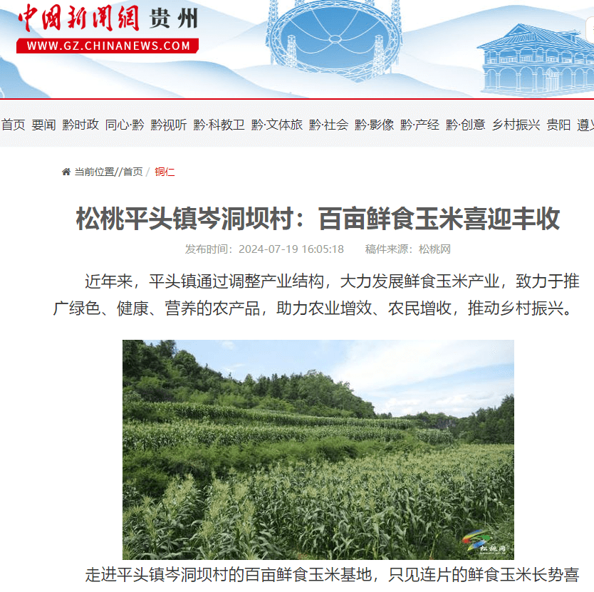【成績單來了！】松桃2024年7月份對外宣傳成績單