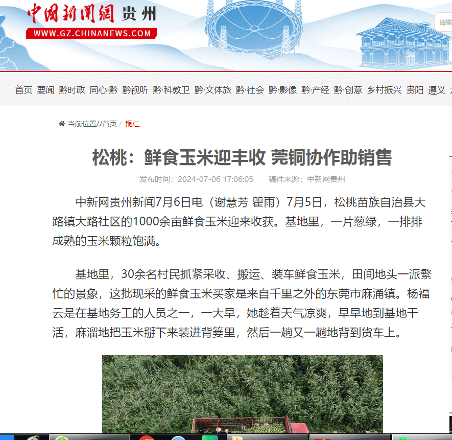 【成績單來了！】松桃2024年7月份對外宣傳成績單