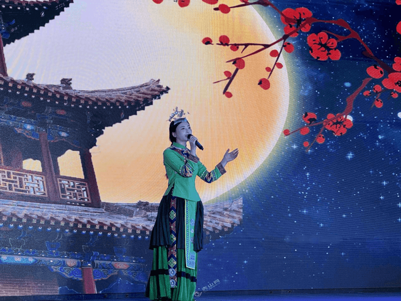 聚焦第12屆武陵山商品交易博覽會(huì)：群星閃耀，超大展區(qū)匯聚商機(jī)，多重政策補(bǔ)貼促發(fā)展