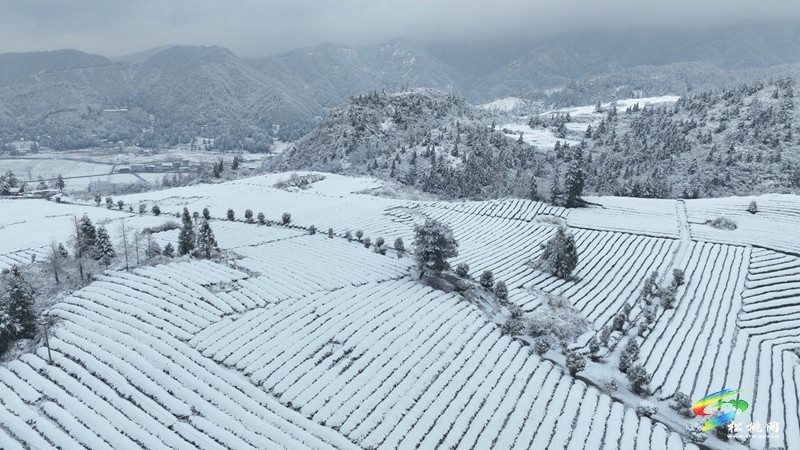 松桃烏羅鎮(zhèn)：雪景圖上新 一大波美景圖來(lái)襲~