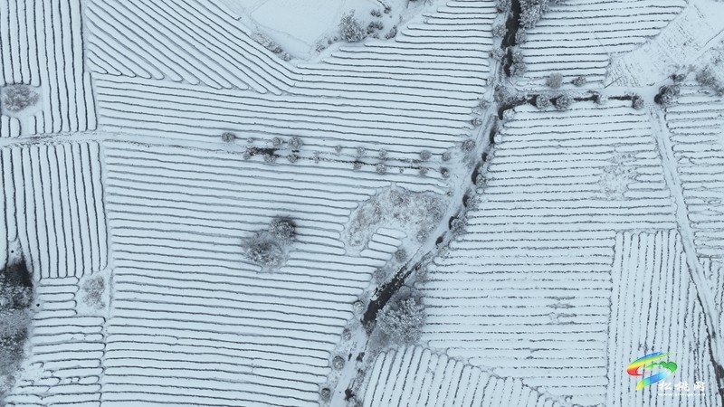 松桃烏羅鎮(zhèn)：雪景圖上新 一大波美景圖來(lái)襲~
