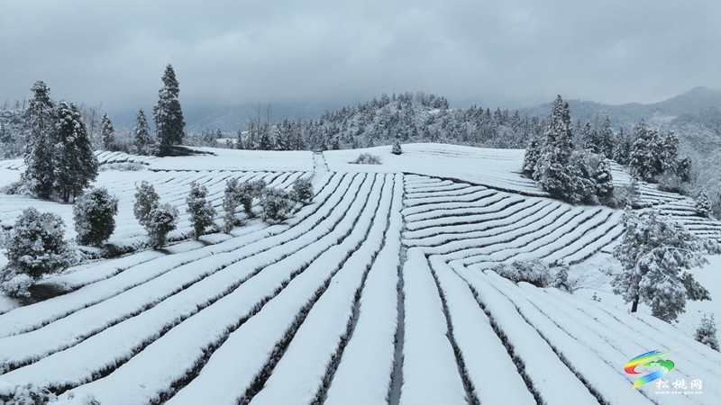 松桃烏羅鎮(zhèn)：雪景圖上新 一大波美景圖來(lái)襲~