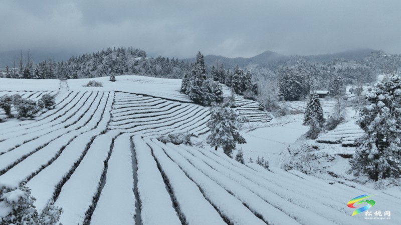松桃烏羅鎮(zhèn)：雪景圖上新 一大波美景圖來(lái)襲~