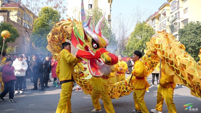 希望城第五屆業(yè)主年會，傳統(tǒng)民俗點燃鄰里情