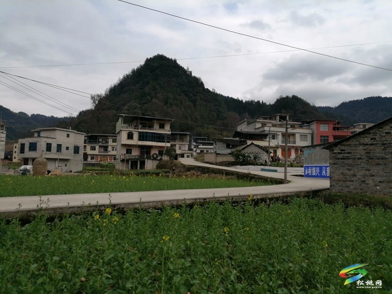 普覺鎮(zhèn)水銀村積極探索衛(wèi)生管理新模式