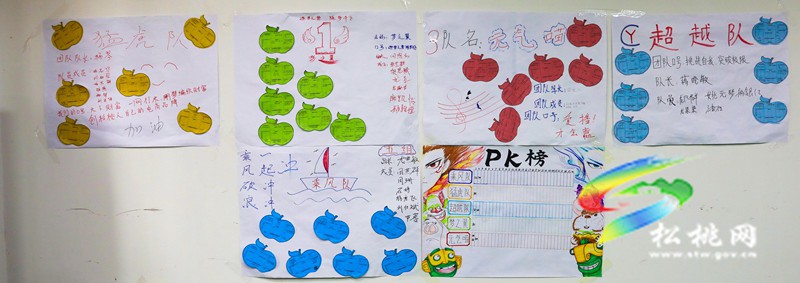 松桃：開展電子商務培訓   點亮創(chuàng)業(yè)就業(yè)新希望