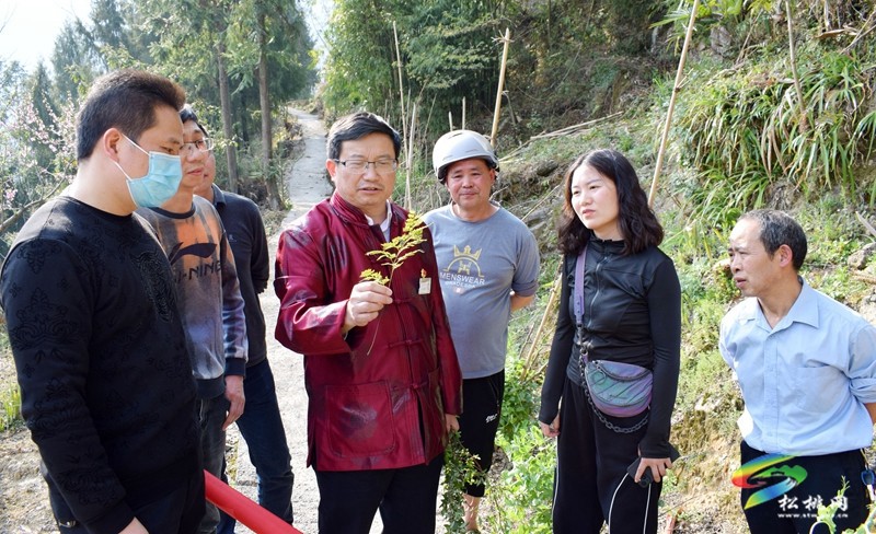 縣民族中醫(yī)院：全國基層名老中醫(yī)走進網紅村
