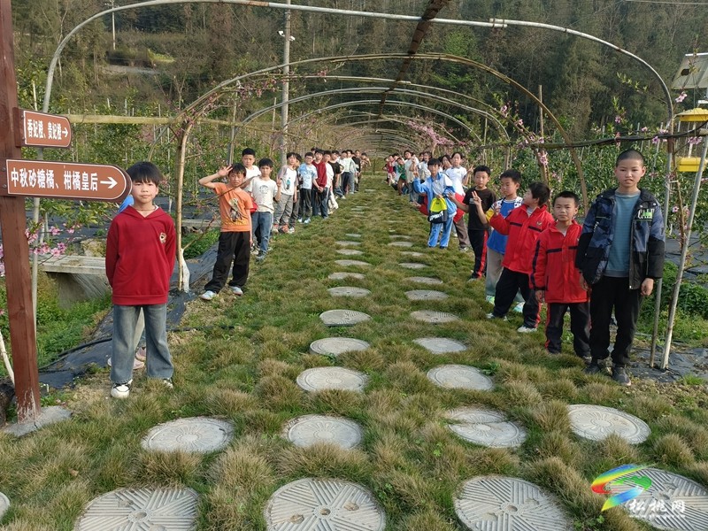 妙隘鄉(xiāng)完小：春日研學(xué)，桃源逐夢(mèng)