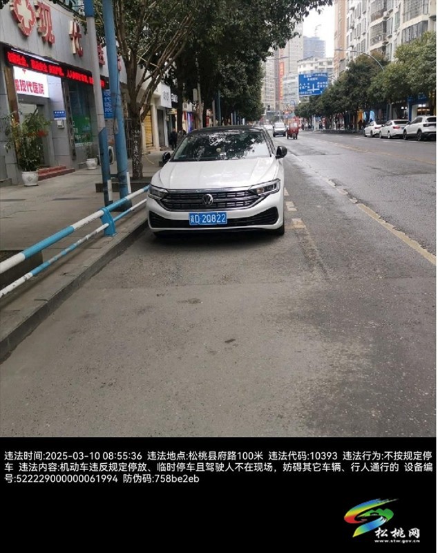 違法車輛曝光
