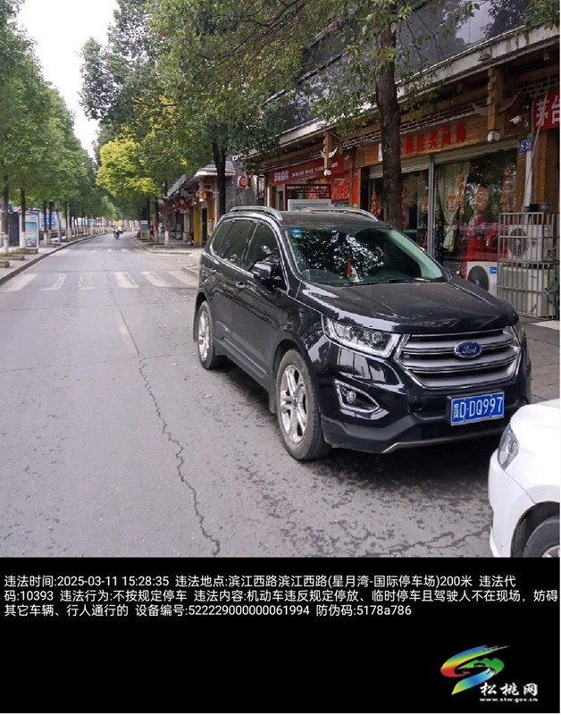 違法車輛曝光
