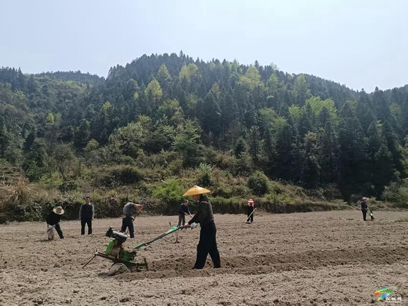 不負(fù)春光，春耕備耕一片“鬧”景象