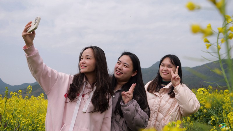 春日限定！普覺這片“花花世界”等你邂逅