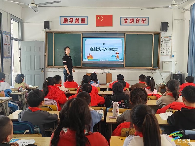 【網(wǎng)絡(luò)中國節(jié)·清明】妙隘鄉(xiāng)完?。憾嗯e措開展清明節(jié)文明安全教育