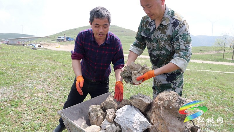 盤(pán)石鎮(zhèn):黔東草海管護(hù)行動(dòng)開(kāi)啟,生態(tài)與富民雙贏可期