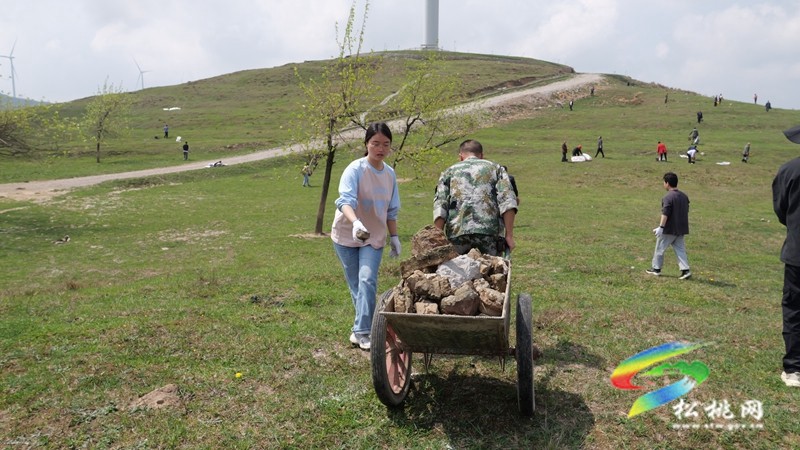 盤(pán)石鎮(zhèn):黔東草海管護(hù)行動(dòng)開(kāi)啟,生態(tài)與富民雙贏可期