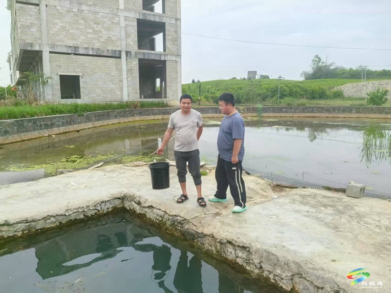 正大鎮(zhèn)盤塘村：開展防溺水安全巡查