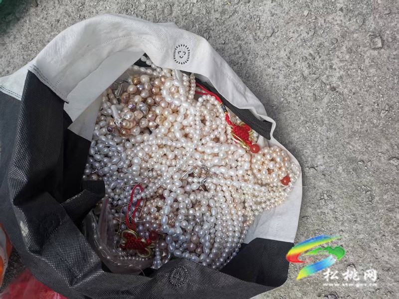 黃板鎮(zhèn)：養(yǎng)殖珍珠蚌 助力鄉(xiāng)村全面振興