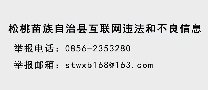 牢記黨的教導(dǎo)?爭(zhēng)做強(qiáng)國少年——松桃縣開展少先隊(duì)新隊(duì)員入隊(duì)儀式示范活動(dòng)