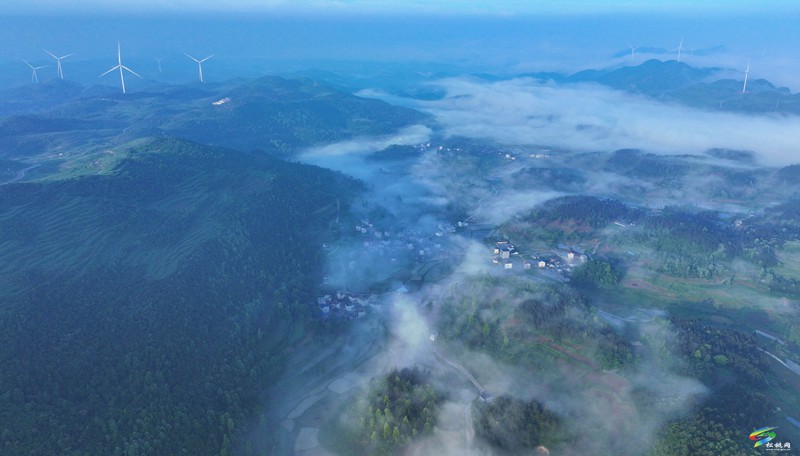 松桃:苗寨云霧繚繞 平流霧繪就夏日仙境