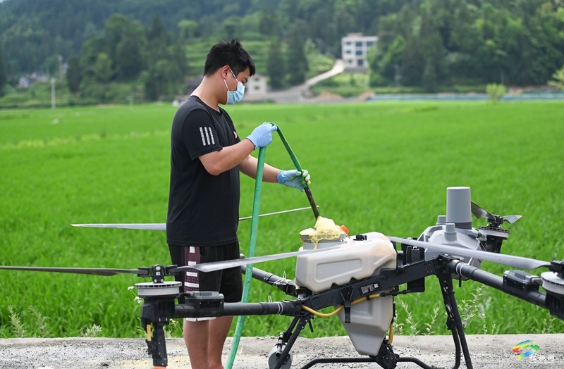 烏羅鎮(zhèn)：植保無(wú)人機(jī)管護(hù)水稻忙