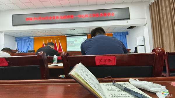 妙隘鄉(xiāng)三舉措快速凝聚幫扶干部力量