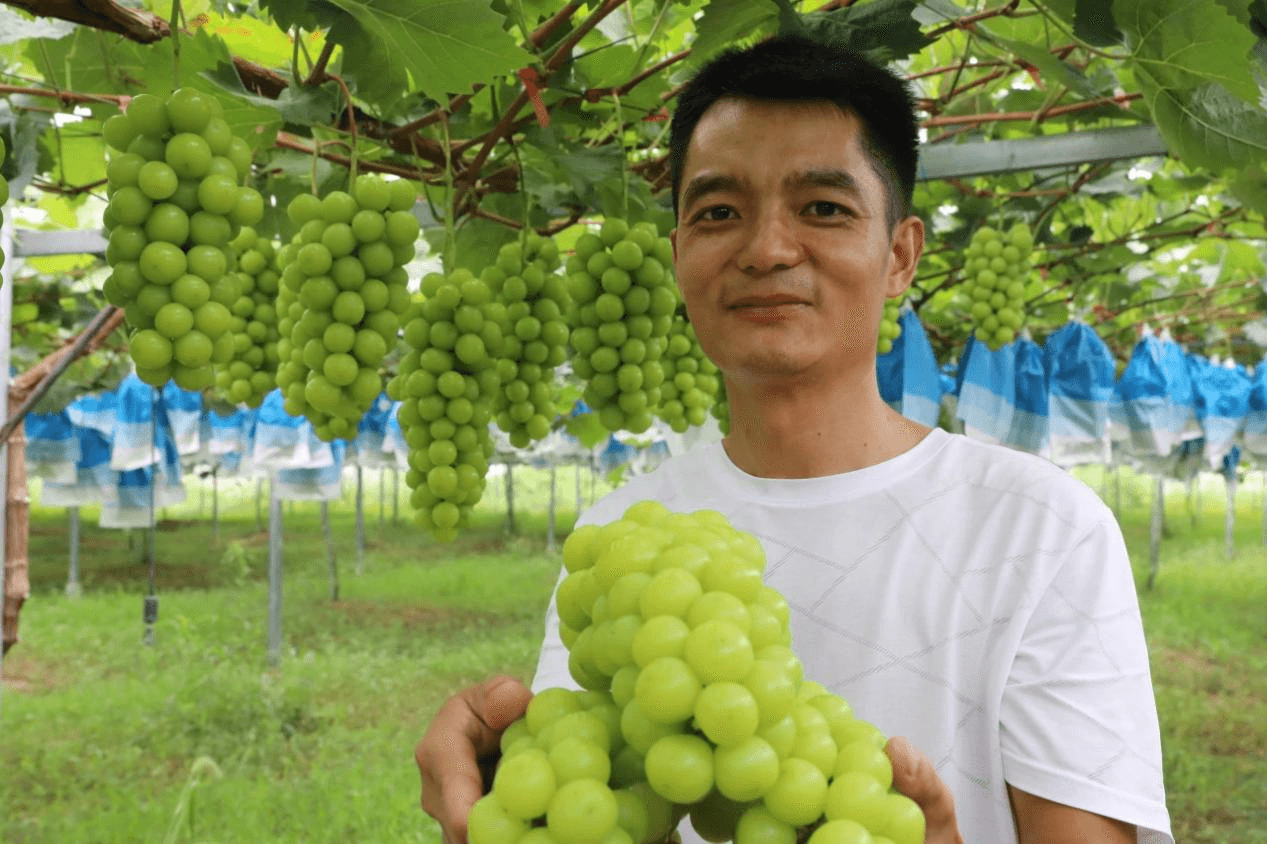 普覺(jué)鎮(zhèn)：新農(nóng)人引領(lǐng)創(chuàng)新致富路