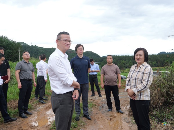 中國電子集團(tuán)黨組副書記、董事陳揚(yáng)帆一行來松調(diào)研