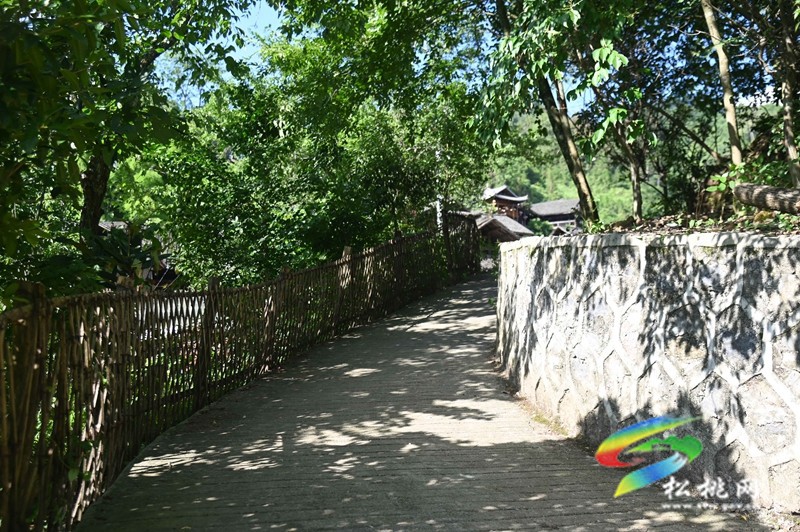 松桃大灣苗寨：鄉(xiāng)村文化旅游度假基地正式迎客