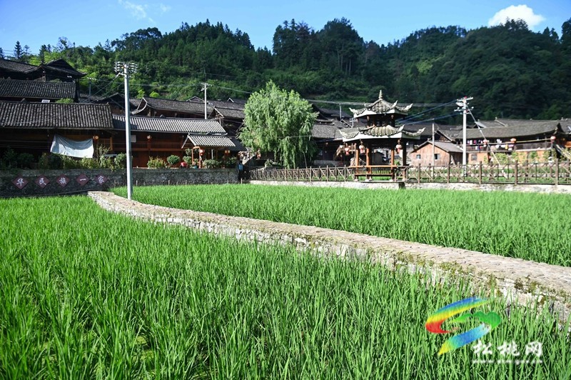 松桃大灣苗寨：鄉(xiāng)村文化旅游度假基地正式迎客