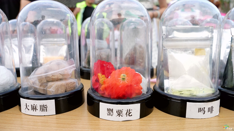 團(tuán)山社區(qū)：童心共筑平安夢(mèng)?攜手守護(hù)成長(zhǎng)路